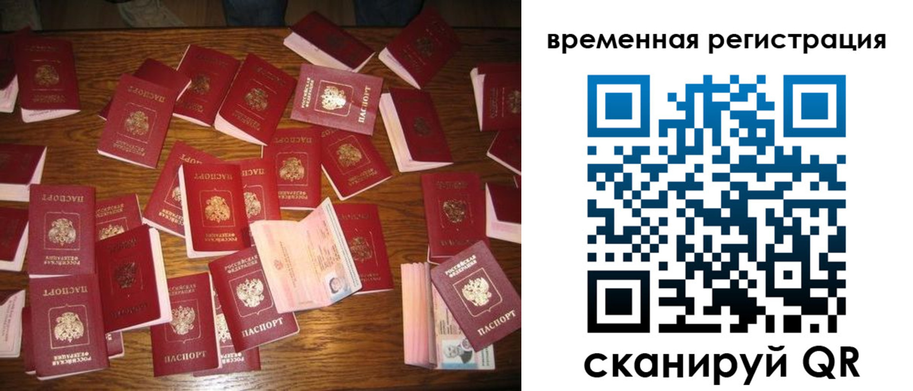 временная регистрация 2025 в Камышине