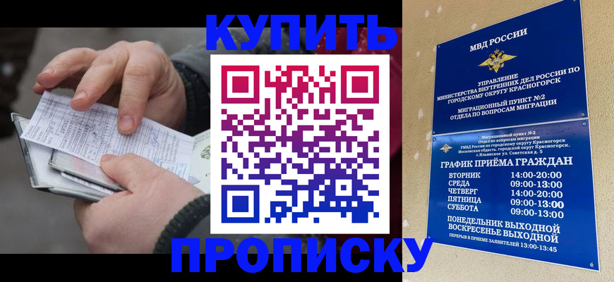 временная регистрация недорого в Камышине